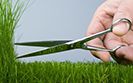 Скашивание травы на газонах